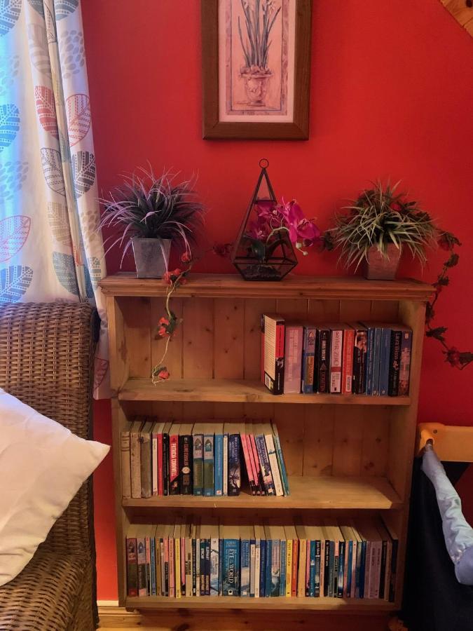 Ashfield Bed & Breakfast 贝尔法斯特 外观 照片