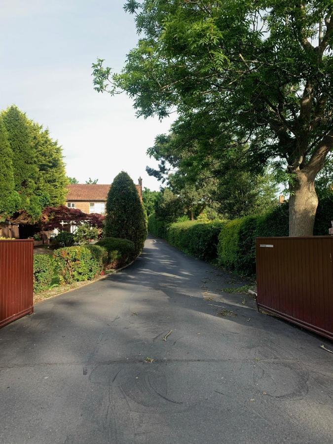 Ashfield Bed & Breakfast 贝尔法斯特 外观 照片