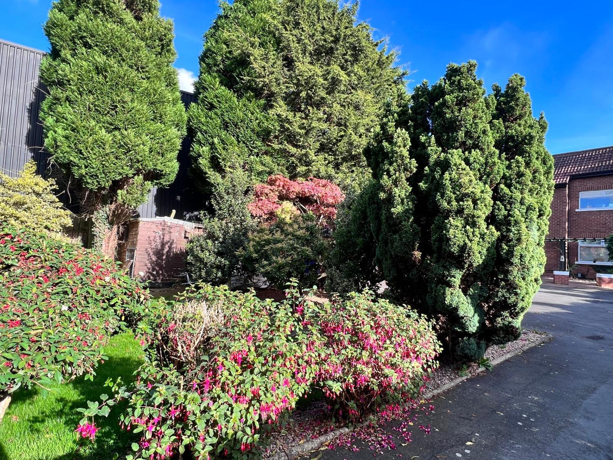 Ashfield Bed & Breakfast 贝尔法斯特 外观 照片